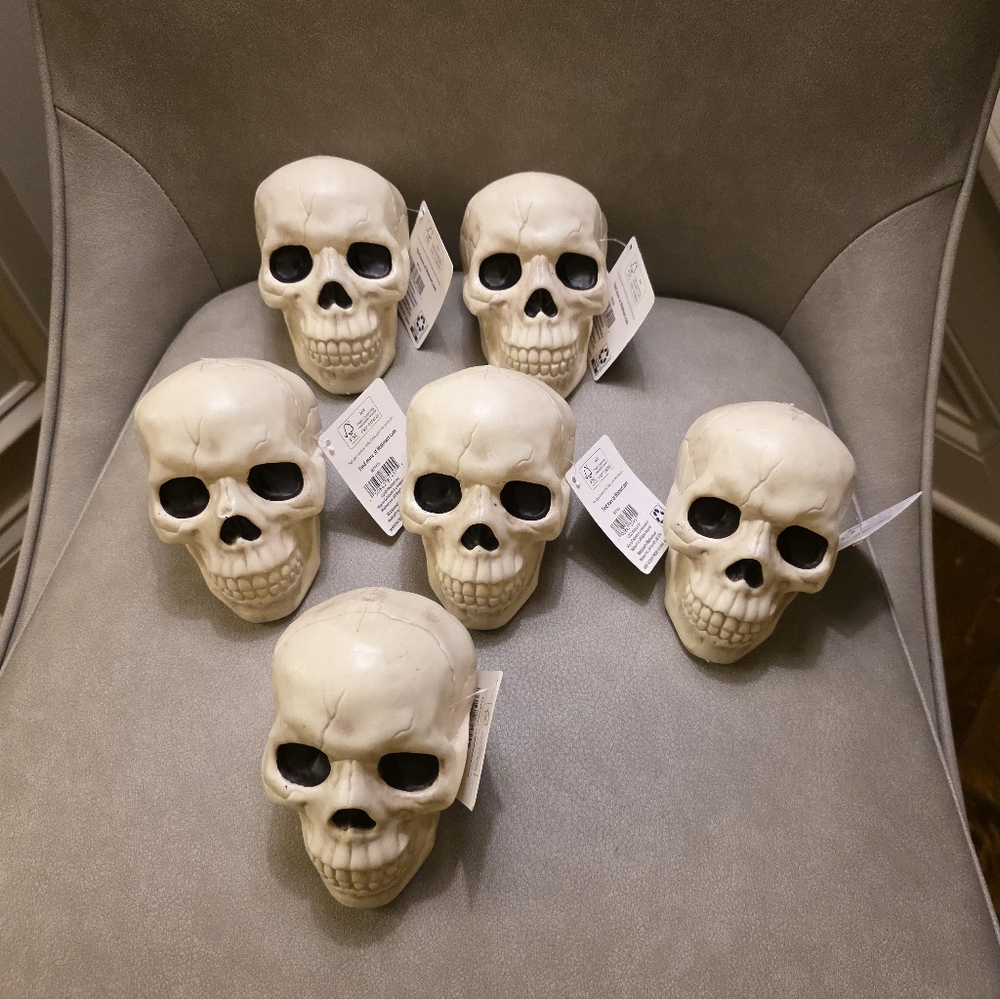 Way To Celebrate Set of Six Plastic Skull Decor Pieces Walmart 2025 Halloween